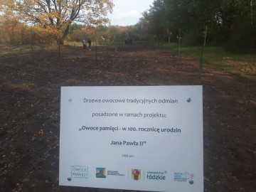 Nowy sad założony w we współpracy z Zespołem Szkół Rzemiosła w Łodzi 22.10.2021r. w ramach projektu Owoce pamięci fot. K.Krakowska, 